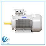 الکتروموتور چدنی گوانگلو - نمای جانبی